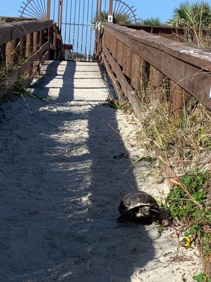 St. Augustine Ocean & Racquet Resort Bagian luar foto